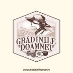 327185905_968134237490801_986489699402473445_n