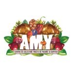 371824881_604013268564615_4304059538603303947_n