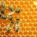 412840180_122104353434155032_7571750798714757380_n