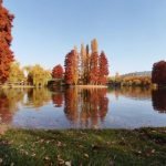 VS0LhHf6ATFmkhEsbM8I7NDDkFRrk7Te