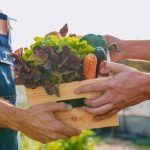 main_banner_9b1f7eba98.jfif